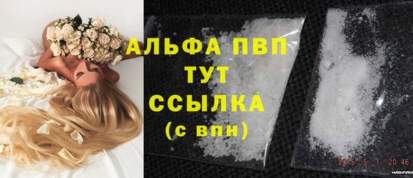 стаф Артём