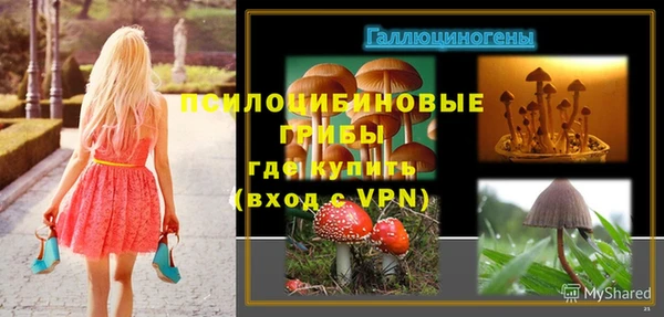 стафф Михайловка
