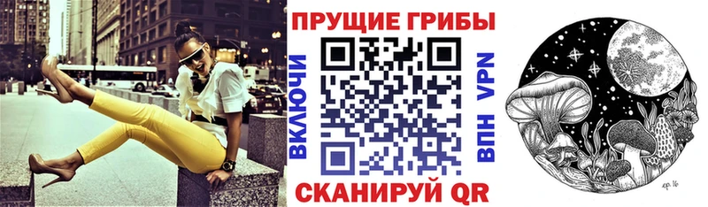 хочу   Старая Русса  Галлюциногенные грибы прущие грибы 