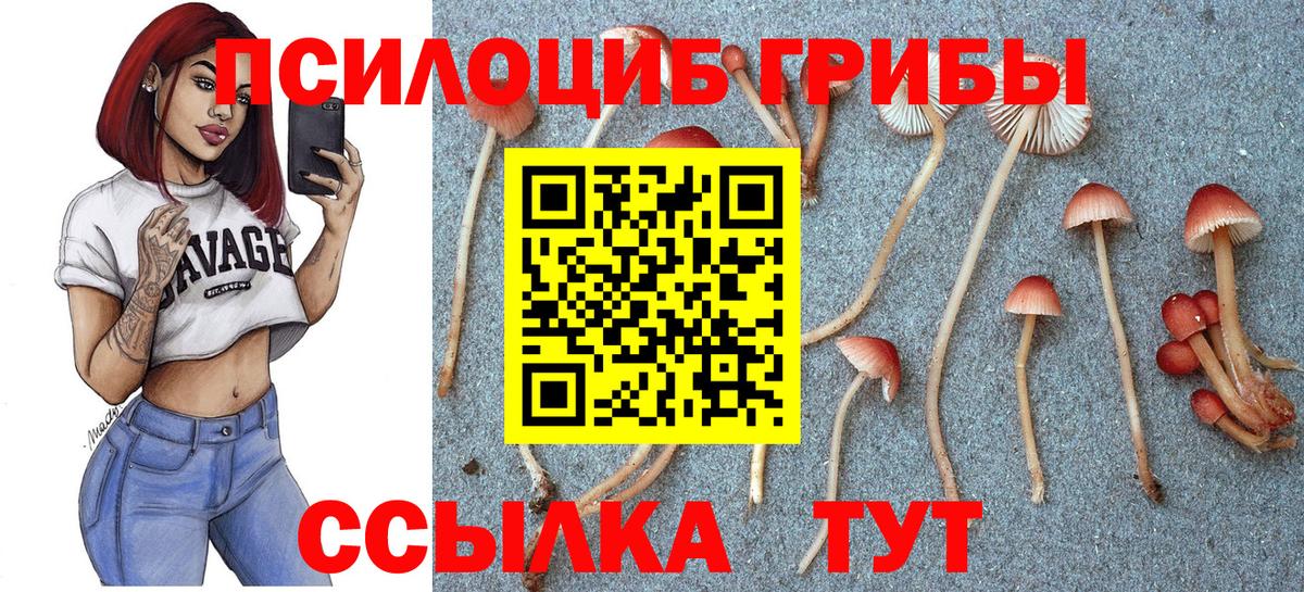 Старая Русса  Галлюциногенные грибы Psilocybine cubensis  Галлюциногенные грибы GOLDEN TEACHER  Вход с VPN 