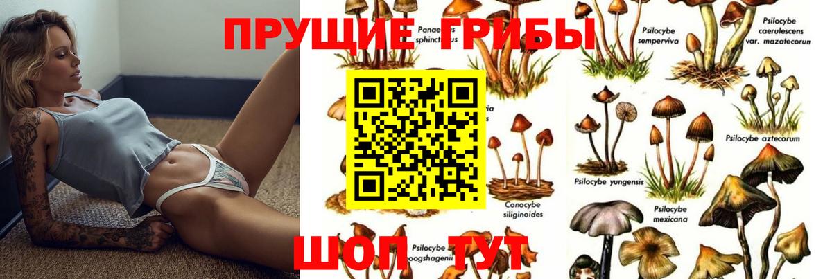 Галлюциногенные грибы мицелий Старая Русса